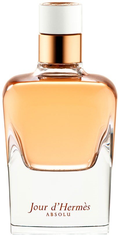 Hermes Jour d`Hermes Absolu